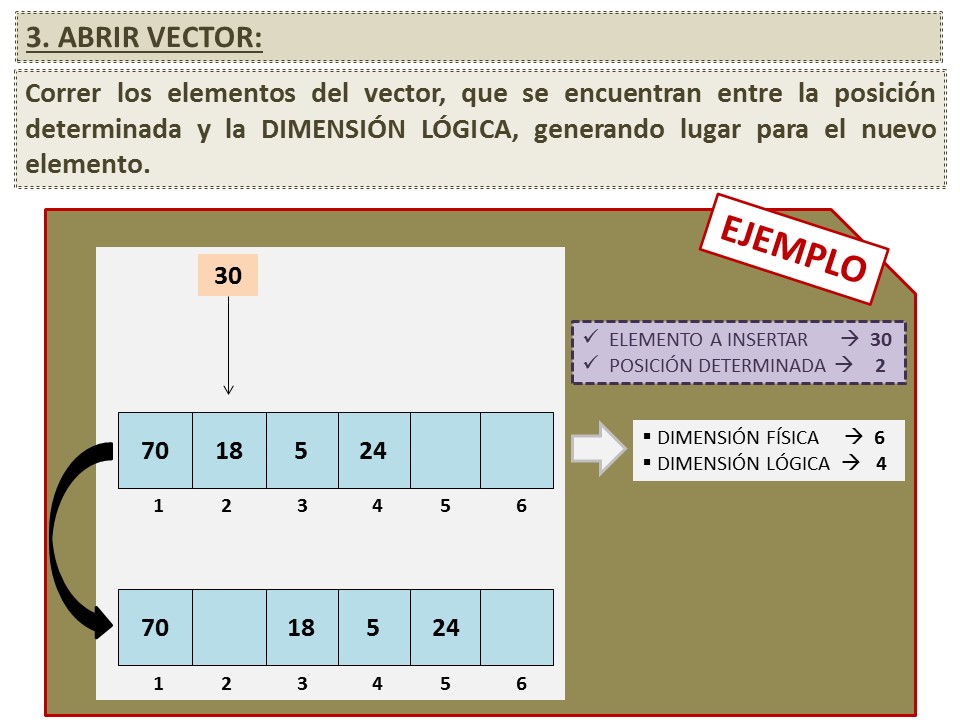 ABRIR VECTOR